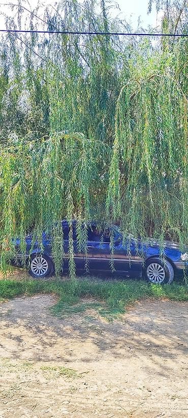 saf su: Salam ərazi Mingəçevirə çox yaxın Günəşli qəsəbəsinin yanında cəmi — 6