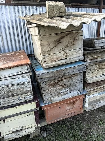 Arıçılıq üçün taxta arı pətəkləri - Material: qalın taxtadan yığılmış