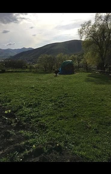 Tikinti, Kupça (Çıxarış) — 3