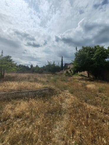 binə emlak: 17 sot, Tikinti, Maklerlər narahat etməsin, Kupça (Çıxarış) — 11