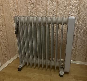 Boz rəngli,12- seksiyali, təkərli, daşınması asan, yağ radiatoru