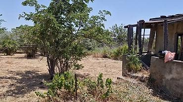 şirvan əmlak az: 12 sot, Tikinti, Kupça (Çıxarış) — 4