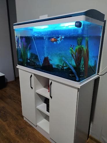 Akvaryum dəsti – şkaflı, işıqlı - Geniş şüşə akvaryum, üst qapaqlı