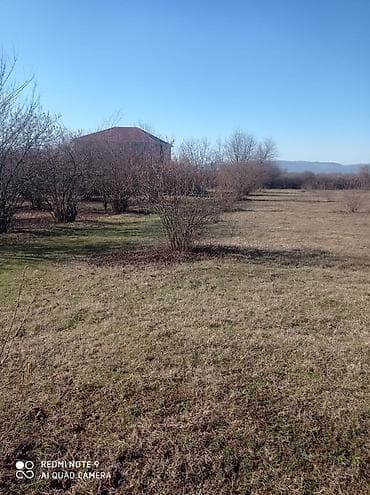 15 sot, Kənd təsərrüfatı, Mülkiyyətçi, Kupça (Çıxarış)