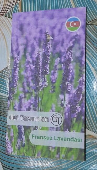 Fransız lavanda toxumları ! Paçkası 5 manata Başka 50 çür toxumları