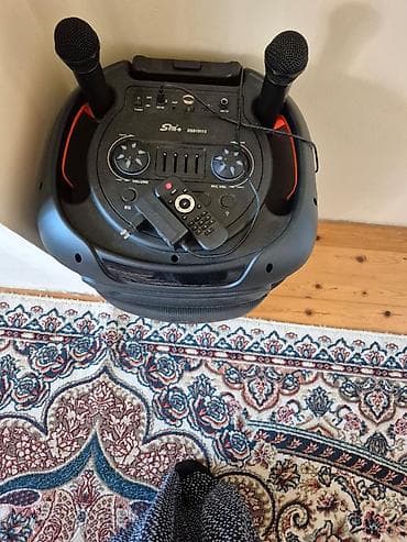 Daşınan karaoke səs sistemi – SIno ZQS1511S - Güclü aktiv akustika — 3
