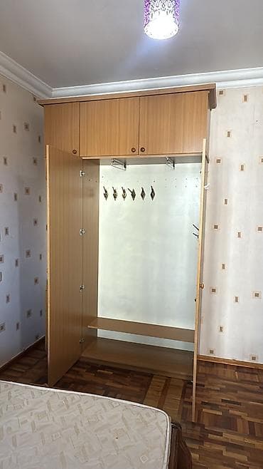 2 двери, С зеркалом, Дерево, Распашной, Прямой шкаф — 2
