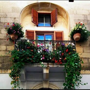 generator təmiri: Həyət və bağ sahələrinizə sarmaşıq müxtəlif qızıl güllərdən besetka — 10