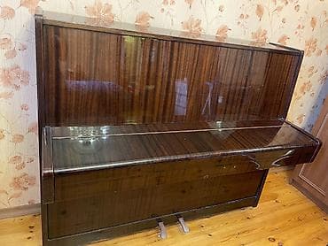 Piano, Belarus, Akustik, İşlənmiş — 2