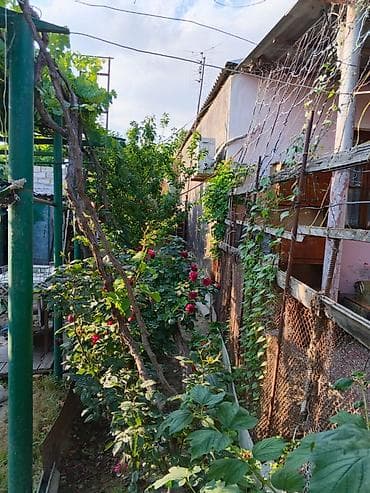 sabr saat: Sabunçu qəs. 3 otaqlı, 63 kv. m, Orta təmir — 5