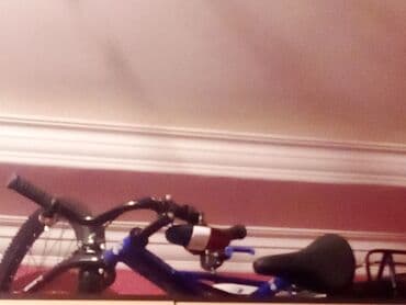 Uşaq velosipedi – şəhər və park gəzintiləri üçün rahat model