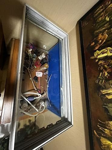 akvarium balik: Akvaryum komplekti – şüşə akvarium və işıqlandırma sisteminə qədər — 6