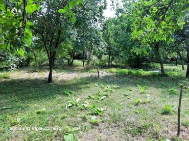 şabran torpaq: 10 sot, Tikinti, Mülkiyyətçi, Kupça (Çıxarış) — 11