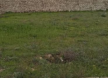 3 sot, Tikinti, Mülkiyyətçi, Kupça (Çıxarış)