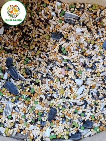 en ucuz uc: Tutuquşu yemi.(papuqay yemi) Yüksək keyfiyyətli tutuquşu yemini sizə — 8