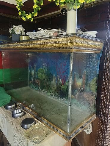 akvariumlar: Salam. Akvarium satılır. Uzunluğu 1 metr, hund. 0.70 — 4