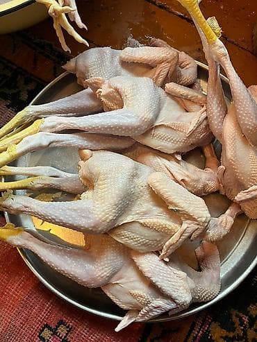 Kənd toyuğu Toyuq Bütöv, Pərakəndə