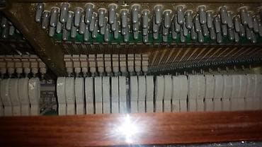 TV və video: Məhsulların təsviri: 1) Taxta kofe/jurnal masası - Material: massiv — 6