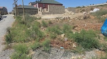 qubada torpaq satilir 2021: 7 sot, Tikinti, Mülkiyyətçi, Kupça (Çıxarış) — 2