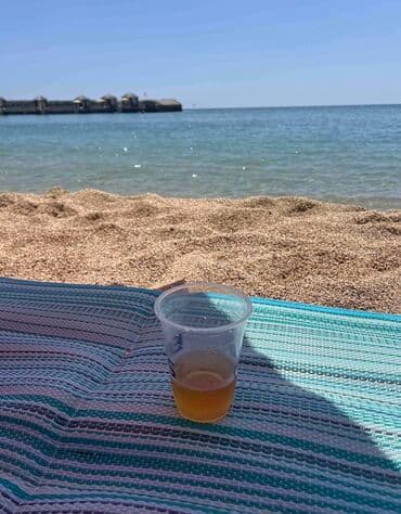 tarix test toplusu 1 ci hisse pdf 2019: 🔥 Təbiətdə istirahəti rahat və praktik şəkildə yaşamaq istəyənlər üçün — 2