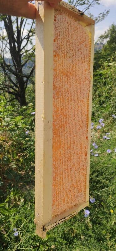 продается мед: ELF BEE'S 1977 ECO-PRODUCT FOR HEALTH AND LONGEVITY Tovuzun — 7