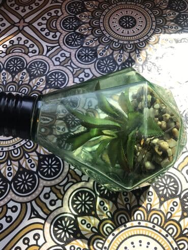 rengli lampalar: Lampa — 5