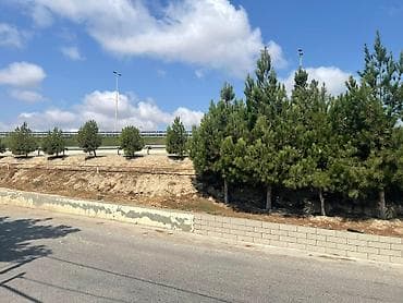 ovcu mağazası unvan: 8 sot, Tikinti, Mülkiyyətçi, Kupça (Çıxarış) — 2