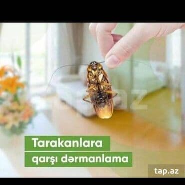 xalca yuma 1 50 azn 2023: Dezinfeksiya, dezinseksiya | Nəqliyyat — 6