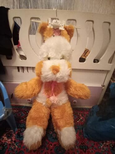 Информатика: Sovet vaxtının əla vəziyyətdə — 1