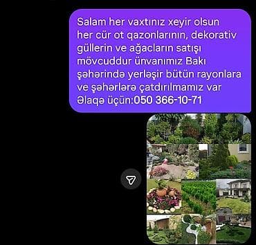 Avto xidmətlər: Pejaj və landşaft dizaynı xidməti - Həyət, bağ və villalar üçün — 8