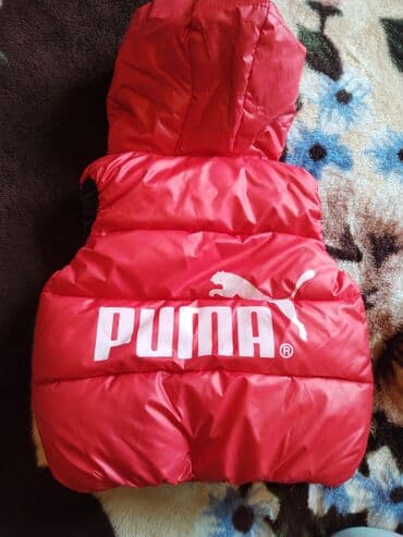 payiz ust geyimleri: Jilet, Uniseks, 9 - 12 ay — 2