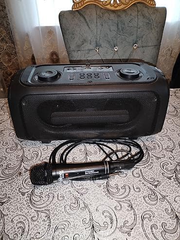 işlenmiş kalonka: Eltronic ART.20-40 portativ akustik sistemi + simli dinamik mikrofon — 2