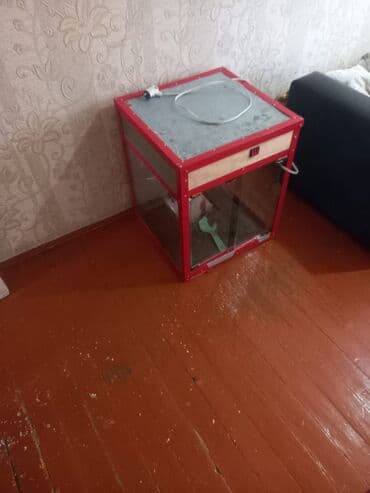 Hazır biznes: Qar maisi (popkorn) hazırlama aparatı - Korpus: metal çərçivə, şüşə — 2