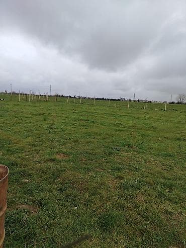 kənd: Kənd təsərrüfatı — 7