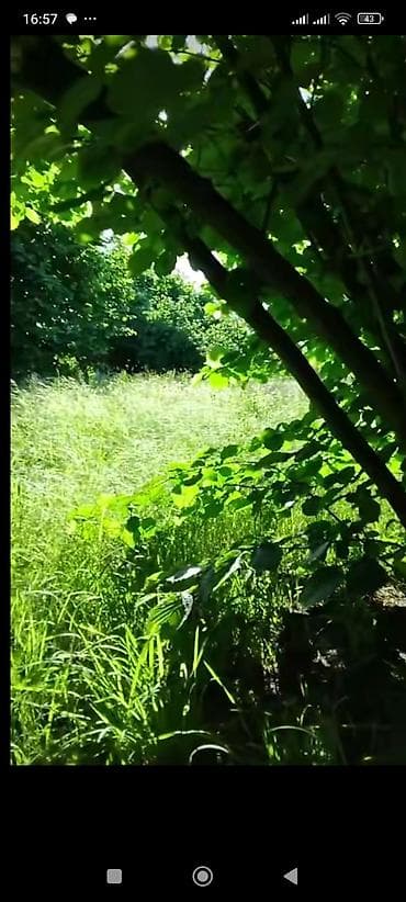 boş evler kiraye: Tikinti — 5