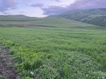 xacmaz torpag: 10 sot, Tikinti, Mülkiyyətçi, Kupça (Çıxarış) — 1