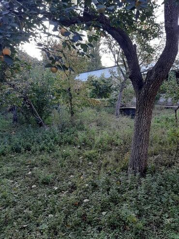 torpağ sahesi: 7 sot, Tikinti, Makler, Kupça (Çıxarış) — 4