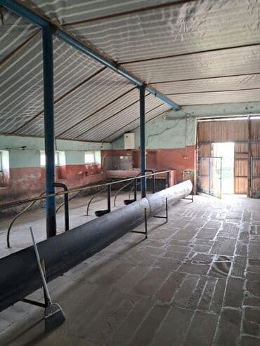 bağ evi satışı: Kənd təsərrüfatı — 16