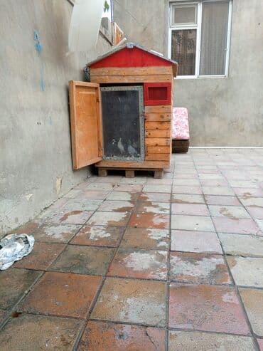 Uzunluqu 140sm-dir .Hündürlüyü 1metr. eni 1metr real müştərilər elanda