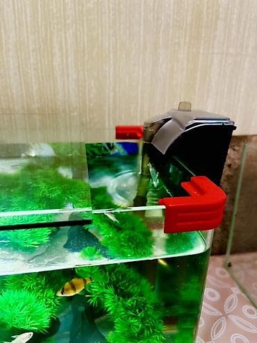 Собаки: Прямоугольный аквариум, Вместе с рыбами, 40 л — 3