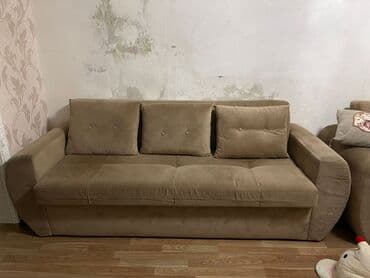 Otaq bitkiləri: Divan — 1