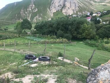 memar ecemi kiraye ev: 5 sot, Tikinti, Maklerlər narahat etməsin, Kupça (Çıxarış) — 9