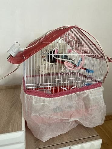 Dalğalı tutuquşular üçün qəfəs dəsti - Forma: damlı ev tipli metal