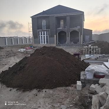 zolotoy us bitkisi: Qara torpaq – landşaft Bağ, bostan və qazon üçün yüksək keyfiyyətli — 2
