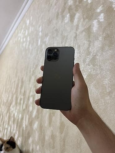 iohone 12: IPhone 12 Pro Max, 128 GB, Graphite, Simsiz şarj — 4