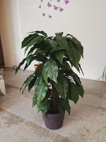 süni ağac: Böyük ölçülü dekorativ qapalı bitki – süni ağac - Realistik, iri və — 1