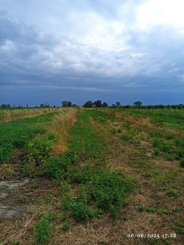 xırdalan kirayə evlər 3 otaqlı: 142 sot, Kənd təsərrüfatı, Mülkiyyətçi, Kupça (Çıxarış) — 2