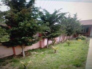 ferma torpaq: 11 sot, Tikinti, Makler, Kupça (Çıxarış) — 6