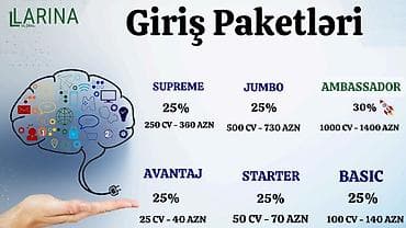 xaricde iş: Larina Global – onlayn qazanc platforması Xüsusi təklif: Bu gün — 3