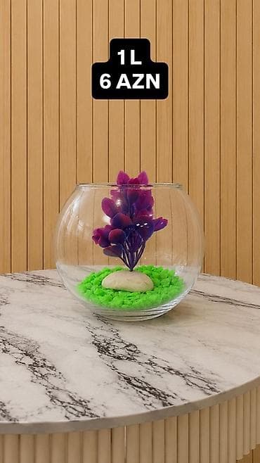 Yumru akvarium, 1 l, Ünvandan götürmə, Pulsuz çatdırılma, Ödənişli çatdırılma lalafo.az -da Yumru akvarium, 1 l, Ünvandan götürmə, Pulsuz çatdırılma, Ödənişli çatdırılma
